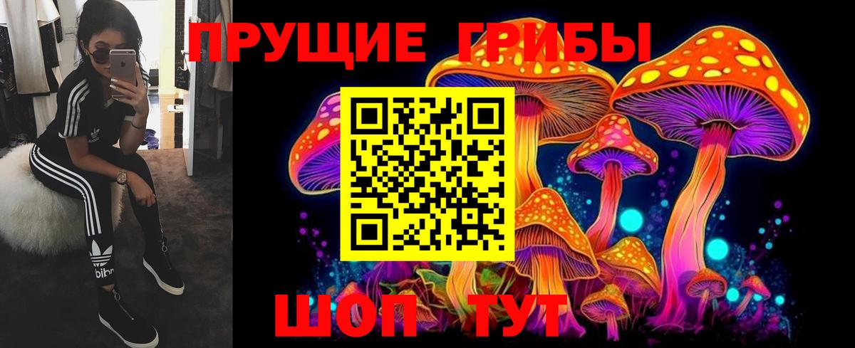 Галлюциногенные грибы Psilocybe Унеча