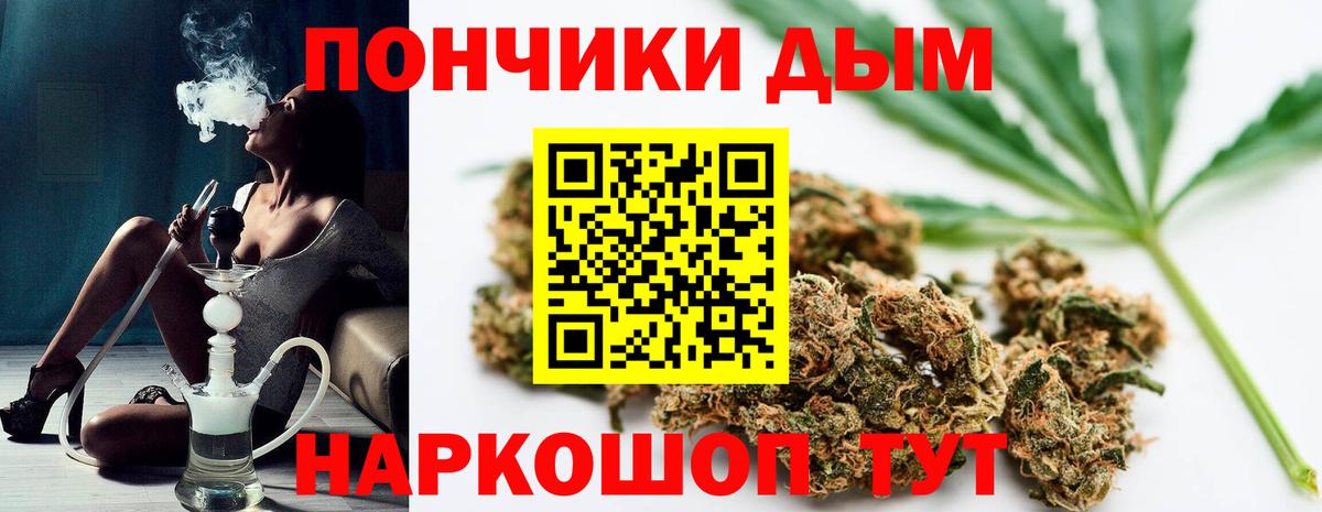 Каннабис марихуана  Каннабис планчик  Шишки марихуана Amnesia  Унеча  Вход с VPN 